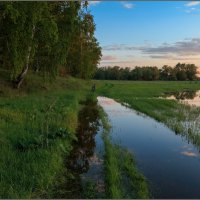 Разлилась тишина... :: Сергей Бережко