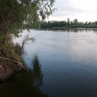Вечер на реке Десна :: Александр Скамо