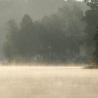 В тумане утреннем :: Юрий Цыплятников