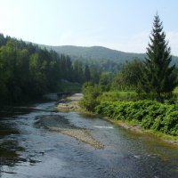 Река  Пистынька  в  Шешорах :: Андрей  Васильевич Коляскин