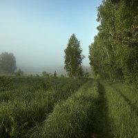 Свежесть утра. :: Александр Гурьянов