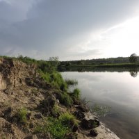 река Воронеж в Нелже :: Татьяна Вострикова