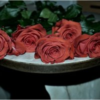 розы :: Tatiana Kretova
