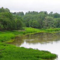 река Руза :: Андрей Куприянов