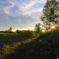 Вечерняя... :: Геннадий Северный