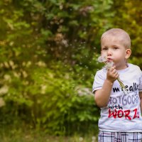 Одуванчик полевой :: Елена Верзун