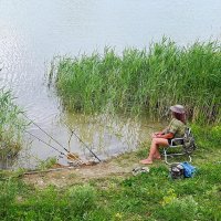Любитель рыбалки и комфорта :: Александр Бурилов