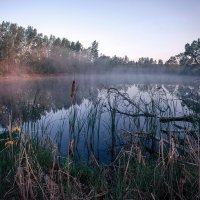 Утром на озере :: Николай Алехин