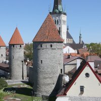 Fotostuudio Akolit, Tallinn, Arkadi Baranov :: Аркадий  Баранов Arkadi Baranov