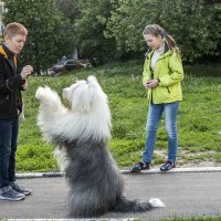 зайка :: Лариса Батурова