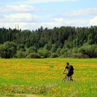 Я буду долго гнать велосипед... :: Галина Новинская