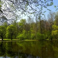 В Измайлово :: Анатолий Цыганок