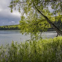 Вечер на озере :: Николай Климович