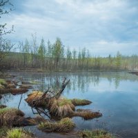 Полярный день :: Евгений Виличинский