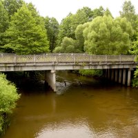 Мост в лесу. :: Владимир Левый