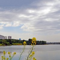 Борисовский пруд :: Анатолий Цыганок