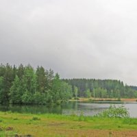 На озере :: alemigun 