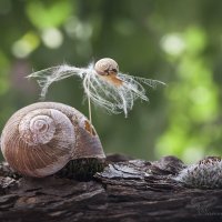 Мы научились штопать паруса и затыкать пробоины телами! :: Olga Verenich