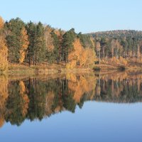 Отражение :: Светлана Телегина