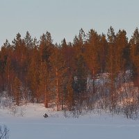 вечерний свет.. :: вадим измайлов