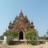 Пагода , Баган , Бирма :: Наталья Елизарова