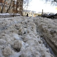 Пришла весна во дворы. :: Владимир Терехов