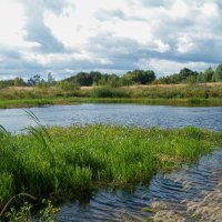 водная гладь :: Екатерина Рябцева