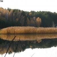 Караканский бор и Обское море :: ВЕРА КРУГЛОВА