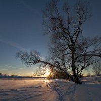 Теплое закатное :: Антон Мазаев