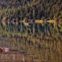 Диалоги о рыбалке. :: Николай Спиридонов