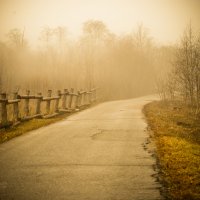 дорога в туман :: Ксения Хмелевская