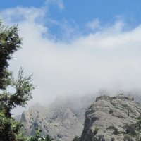 Туман над Соколом :: Маера Урусова