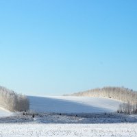 Морозное утро :: Юрий Сыромятников