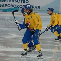 Атака :: Андрей Горячев