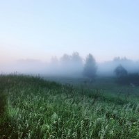 утро жемчужного тумана :: sergej-smv 