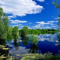 Вода прибывает. :: Анатолий Анищик