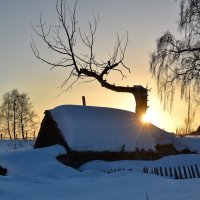 Зима :: Нина Штейнбреннер