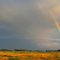 . :: Анастасия Попкова