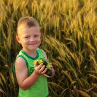 Дары природы :: Юлия Роденко