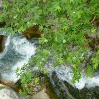 Водопады каньона Сападере. :: Чария Зоя 