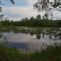Летом на озере :: Николай Алехин