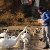 "Давай скорее!" :: Nyusha .