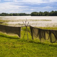 о. Кижи :: Лунное Озеро