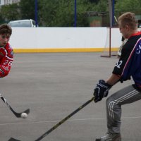 Летний хоккей :: Ирина Фирсова