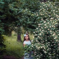 сказочный лес :: Татьяна Исаева-Каштанова
