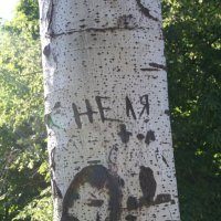 Тезка :: Неля 