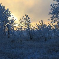 рассвет :: Олег Белан