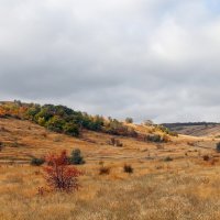 из серии"Утес" :: Сергей Гульгас 