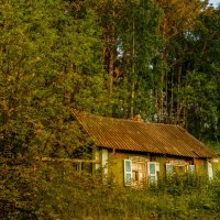 В гармонии с природой :: Максим Бородин