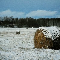 Первый снег :: Андрей Куприянов